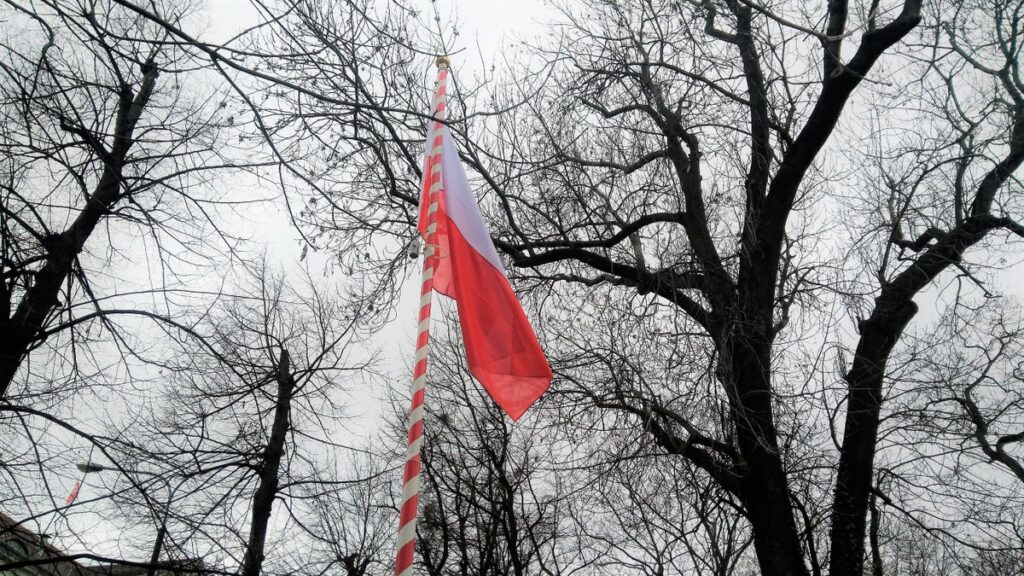 Biało-czerwona flaga na maszcie wśród bezlistnych drzew